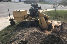 Custom-made stump removal services in Montreal, Laval, North Shore and Lanaudière - Services Arbres Stephane - Montreal Tree Felling