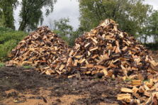 Custom cut firewood sales service in Montreal, Laval, North Shore and Lanaudière - Services Arbres Stephane - Abattage Arbre Montréal