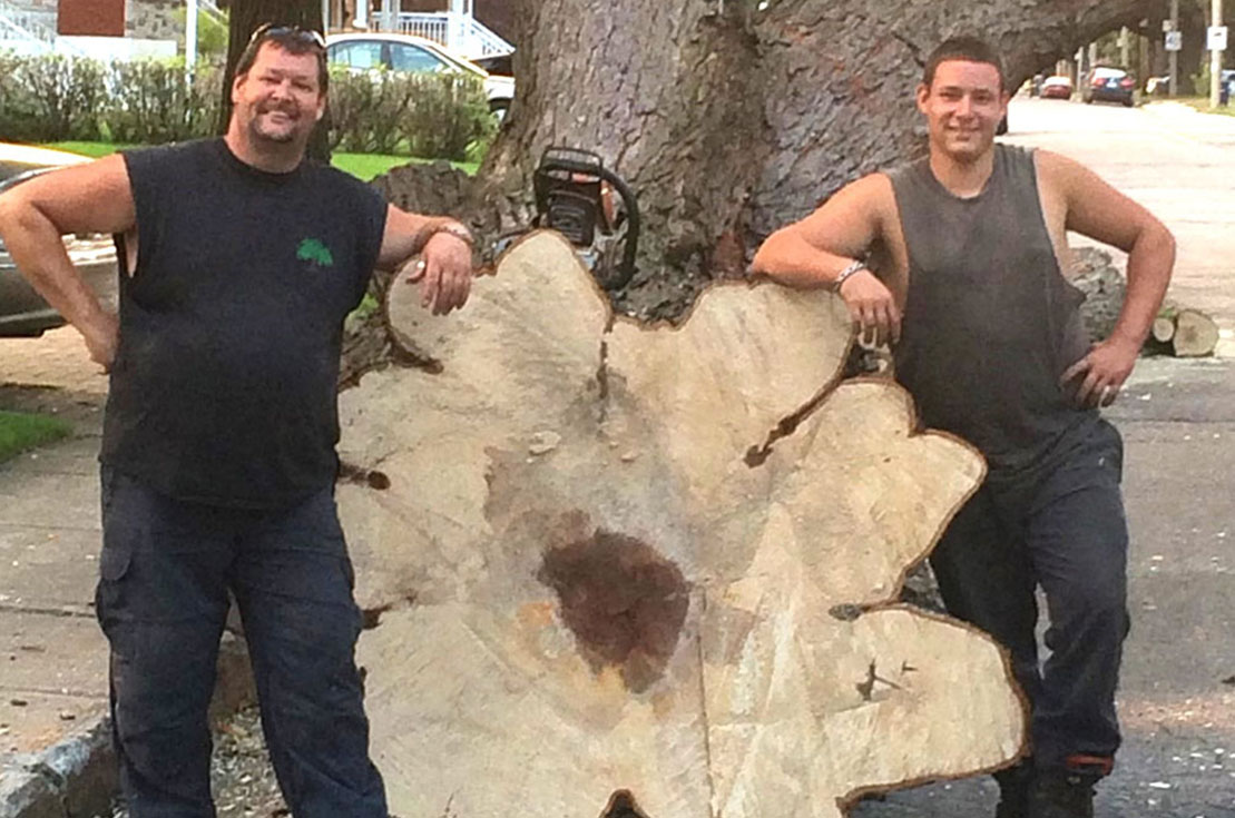 Tree maintenance and tree cutting company in Montreal, Laval, Lanaudière or on the North Shore - Abattage Arbre Montréal