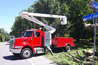 Tree maintenance and tree cutting company in Montreal, Laval, Lanaudière or on the North Shore - Abattage Arbre Montréal