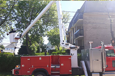 Tree trimming service and tree pruner in Montreal, Laval, Lanaudière or on the North Shore - Abattage Arbre Montréal