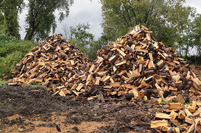 Service de livraison le bois de chauffage et de foyer à Mascouche, … / Abattage Arbre Montréal 