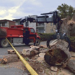 Our equipments that we use for all our work as arborist and tree service at Abattage Arbre Montreal, Laval, Lanaudière and North Shore