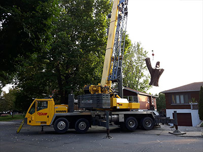 Specialized or dangerous tree felling and removal service in Montreal - Abattage Arbre Montréal