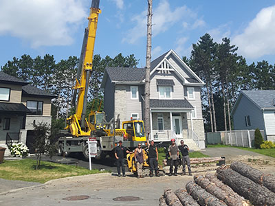 Specialized or dangerous tree felling and removal service in Montreal-center - Abattage Arbre Montréal