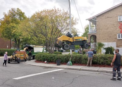 Service de plantation d'arbres et de fertilisation pour arbres à Montréal - Abattage Arbre Montréal