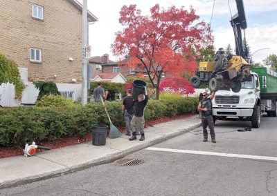 Transport de machinerie pour Service de plantation d'arbres et de fertilisation pour arbres à Montréal et ses environs - Abattage Arbre Montréal