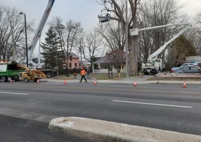 Abattage arbre avec Nacelle à Montréal et ses environs - Abattage arbre Montréal