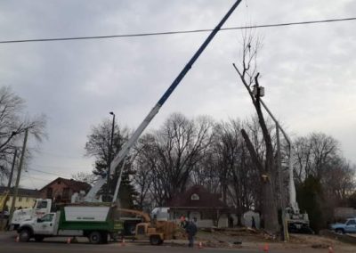 Abattage arbre avec grue a Montréal - Abattage arbre Montréal