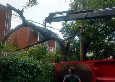 Camion a grue pour émondage - Service émondage à Montréal - Abattage Arbres Montréal