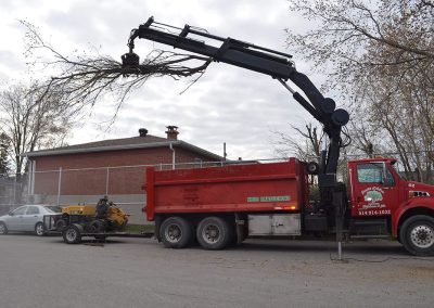 Camion de transport arbre - Service d'abattage d'arbre à Montréal Est et ses environs - Abattage Arbre Montréal