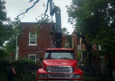 Coupe arbre dangereux - Service émondage à Montréal - Abattage Arbres Montréal