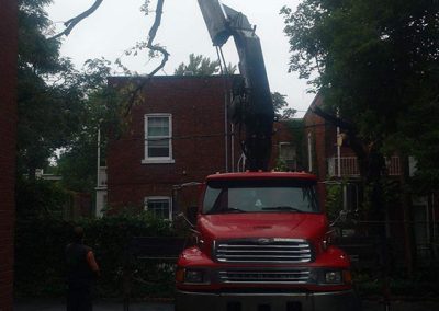 Service d'abattage d'arbre à Blainville et ses environs - Abattage Arbre Montréal