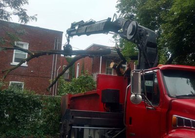 Utilisation de grue pour couper un arbre - Service émondage à Montréal - Abattage Arbres Montréal