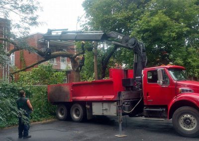 utilisation de grue pour émondage arbre - Service émondage à Montréal - Abattage Arbres Montréal