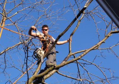Arpenteur entrain de couper des branches avec une scie - Service Élagage à Montréal et ses alentours - Abattage Arbre Montréal